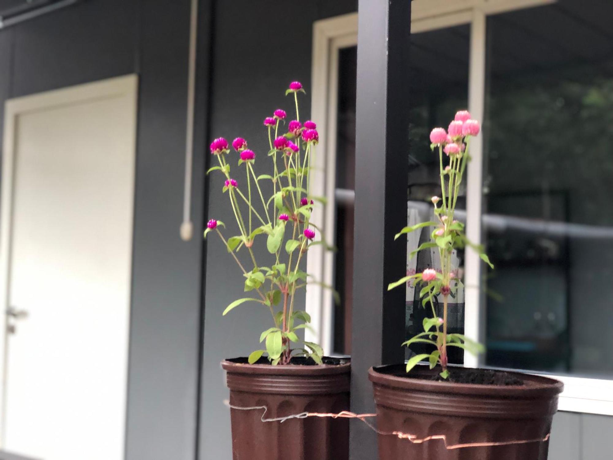 Apartamentos Equipados Dmr #3 أوفيتا المظهر الخارجي الصورة